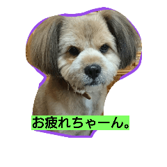 [LINEスタンプ] marom