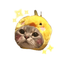 [LINEスタンプ] がじおもすたんぷ〜part2〜