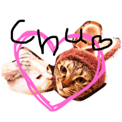 [LINEスタンプ] なつひめ2
