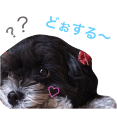 [LINEスタンプ] べるスタンプ♥︎