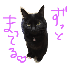 [LINEスタンプ] E-kichi 