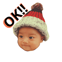 [LINEスタンプ] 航大と雑種犬あめりと仲間たち