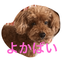 [LINEスタンプ] ANchiyan kurumedialect