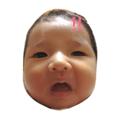[LINEスタンプ] こはっち