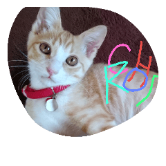 [LINEスタンプ] CatBrown