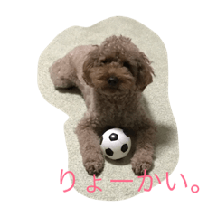 [LINEスタンプ] reontaka