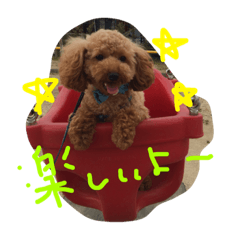[LINEスタンプ] くぅたん その2