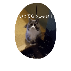 [LINEスタンプ] mokihime