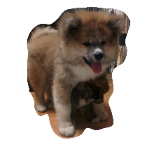 [LINEスタンプ] mofumofu.akitainu