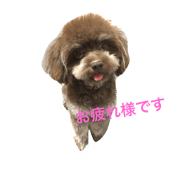 [LINEスタンプ] くぅちゃん♡