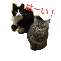 [LINEスタンプ] リンとフク