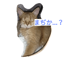 [LINEスタンプ] raza'everyday