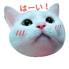 [LINEスタンプ] ナナだよ part2