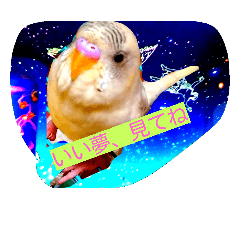 [LINEスタンプ] Skybird