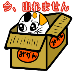 [LINEスタンプ] ねこマルさん