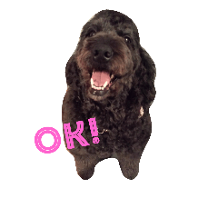 [LINEスタンプ] ノアスマイル