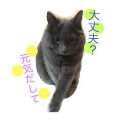 [LINEスタンプ] アチャゴン