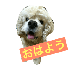 [LINEスタンプ] 陸③