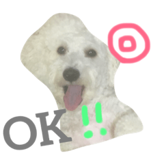 [LINEスタンプ] ポップな毎日