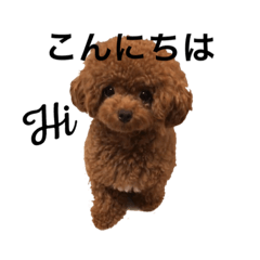 [LINEスタンプ] まろんたんスタンプ1