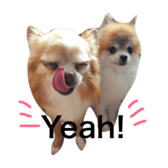 [LINEスタンプ] マイルフィ 2