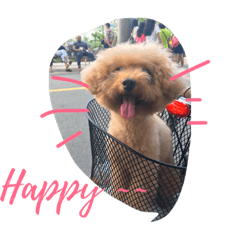 [LINEスタンプ] cute smelly dog