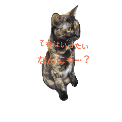 [LINEスタンプ] サビ猫なでちゃん