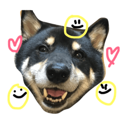 [LINEスタンプ] ぎんたん(7)