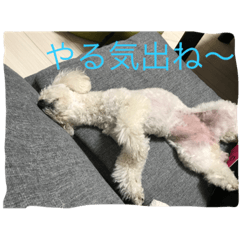 [LINEスタンプ] にこーーるのスタンプ