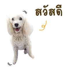 [LINEスタンプ] Lucky Puppy