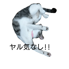 [LINEスタンプ] リリヌイ