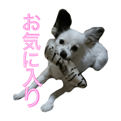 [LINEスタンプ] 使えるか分からないびびちゃんズ1 