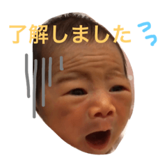 [LINEスタンプ] うちの子2