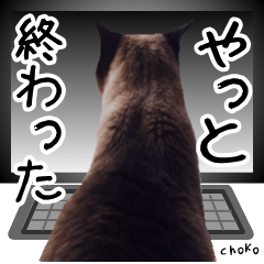 [LINEスタンプ] 猫友リアル写真スタンプ