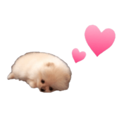 [LINEスタンプ] 鈴木ハナです...♩