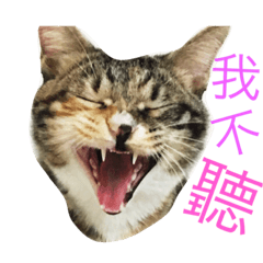 [LINEスタンプ] Money ＆ One
