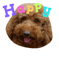[LINEスタンプ] petpetpet