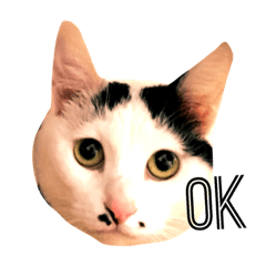 [LINEスタンプ] ぶち猫麿(まろ)