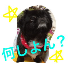 [LINEスタンプ] こなたむ①