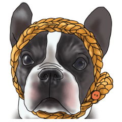 [LINEスタンプ] French bulldog and family