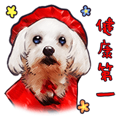 [LINEスタンプ] たくもこさんちのワンちゃんスタンプ