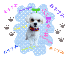 [LINEスタンプ] 我が家の雪ちゃん第2弾