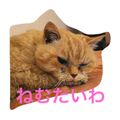 [LINEスタンプ] gutchkazuko