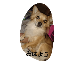[LINEスタンプ] moka1