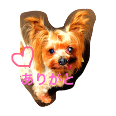 [LINEスタンプ] Tiaときどきりっちゃん