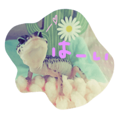 [LINEスタンプ] レオパのきりんさん