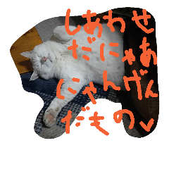 [LINEスタンプ] チョロゾウの我が儘すぎて 幸せ過ぎて