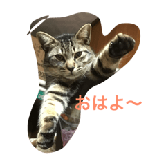 [LINEスタンプ] ポテのスタンプ