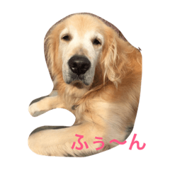 [LINEスタンプ] らっくん だよ