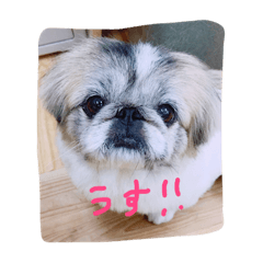 [LINEスタンプ] テト2
